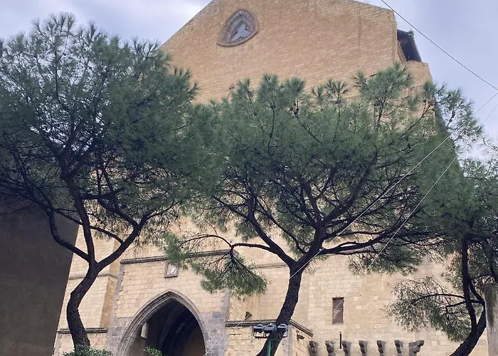 Ropelli Santa Chiara